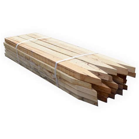 Survey Pegs 50x25x900mm Pack of 25 .